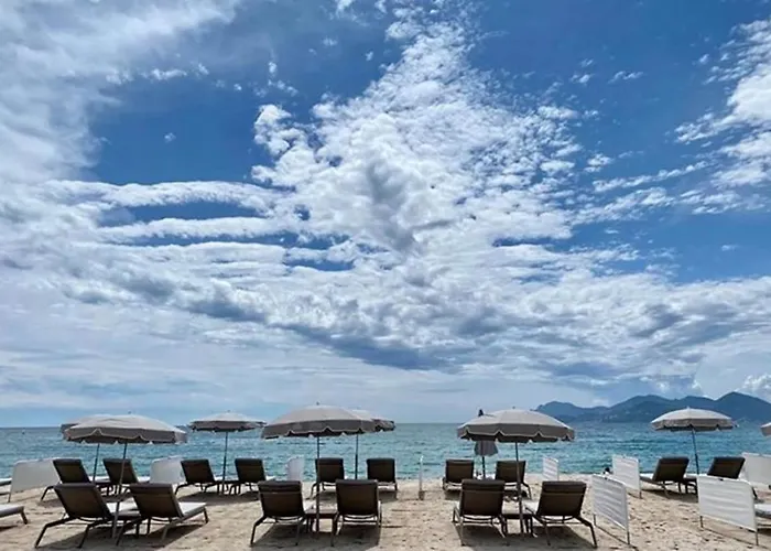 Stunning 1 Bedroom 3 Pers Suquet Vieux Port Croisette 1 Mn By Olam * Cannes